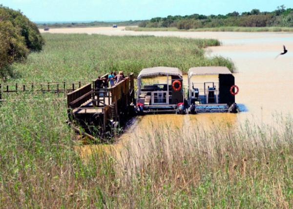 2014-01-03_St. Lucia Wetlands-10001.JPG