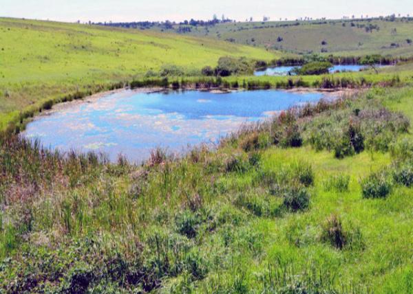 2014-01-04_Tala Private Game Reserve_Growmore Dam -40001.JPG