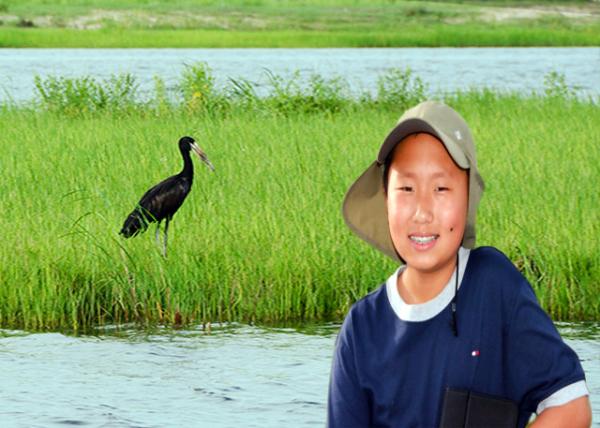 2014-01-08_Bird_African Openbill Stork ǯ-30001.jpg