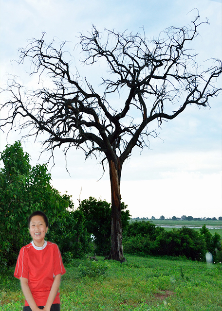 1752428657244756.jpg 2014-01-09_Teak Woodlands.jpg