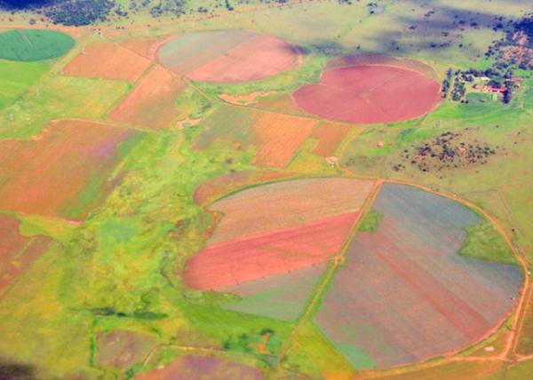 2014-01-09_South Africa_Witwatersrand Gold Rush ˮԽ-20001.JPG