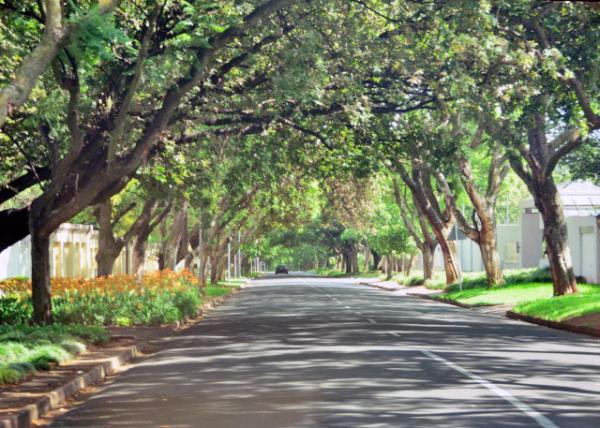 2014-01-10_Houghton Estate_An Affluent Suburb  ٴ帻ԣ-30001.JPG