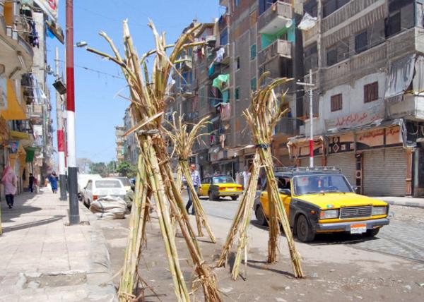 04-02-11_ Vendor_ Alexandria-40001.JPG