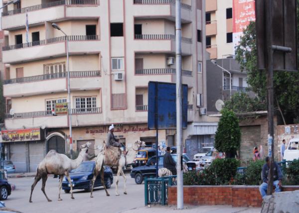 04-02-11_Rush Hour.jpg