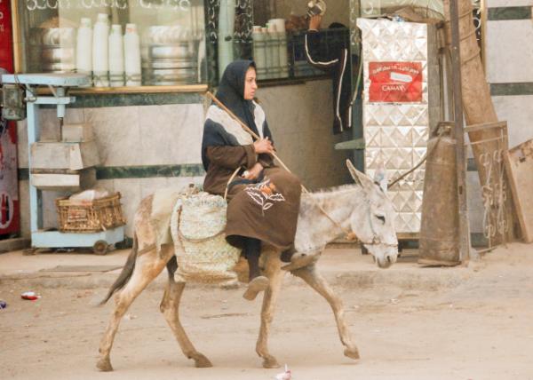 04-05-11_ A Burqa-Clad Woman on a Donkey.JPG