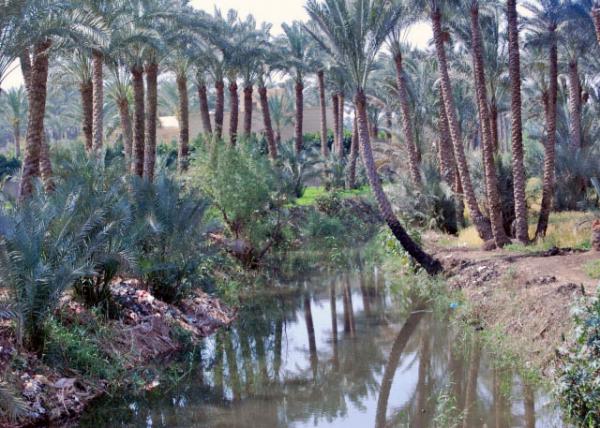 04-05-11_ Palm Creek Ϫ0001.JPG