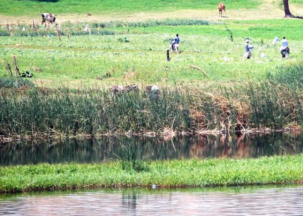 04-07-11_ Food Is the Ultimate Power ʳռ-70001.JPG