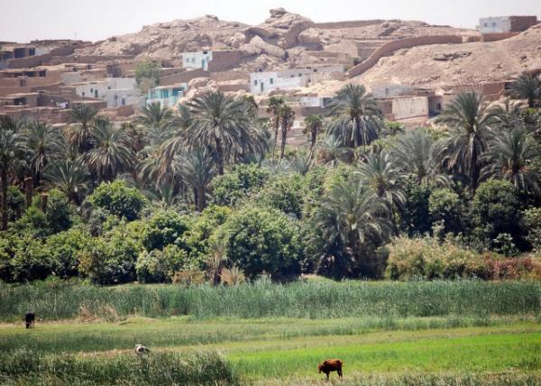 04-07-11_ A Shaduf to Lift Water out of the River üˮ˴ˮ-50001.JPG