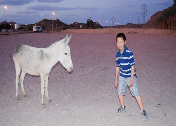 04-09-11_ Meet Donkey @ Arabian Desert ɳĮë¿0001.JPG