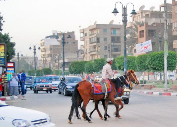 04-02-11_ Jaywalk ᴩ·-20001.JPG