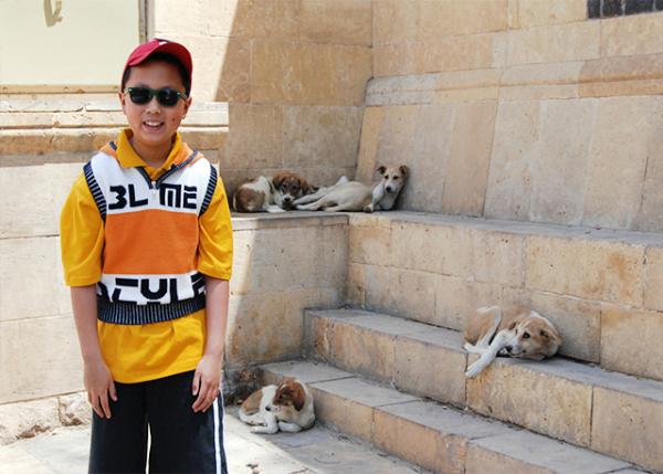 04-12-11_ Homeless Dogs.jpg