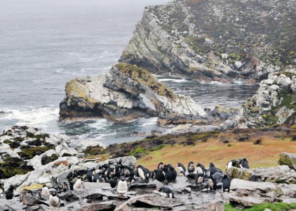 12-30-12_ Telephone Rock-40001.JPG