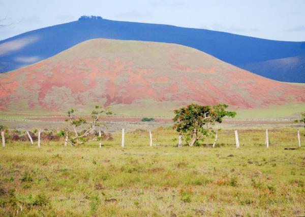 12-16-12_ Easter Island_Puna Pauthe Sole Source of the Red Scoria to Be Carved for the Pukao (Topknots) ɱʯΨһɫɽʯĵط0001.JPG