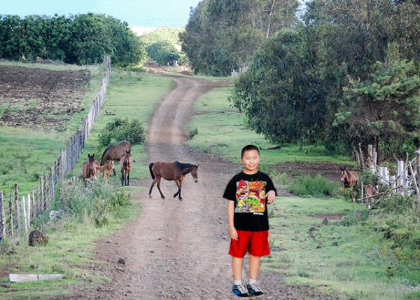 12-16-12_ Easter Island_More Horses than People ڵ˶-80001.JPG