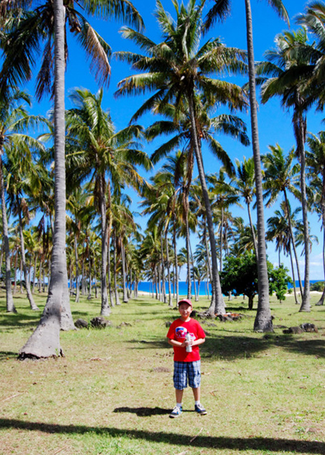 12-17-12_ Anakena Beach_Palm Grove -100001.JPG