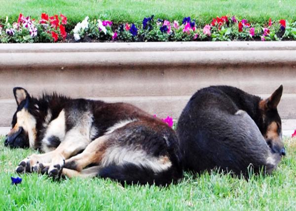 12-20-12_ Plaza Armas-50001.JPG