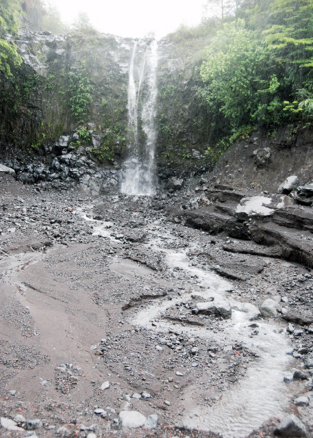 12-24-12_ Vicente Perez Rosales National Park_Hiking Trail ɽ-30001.JPG