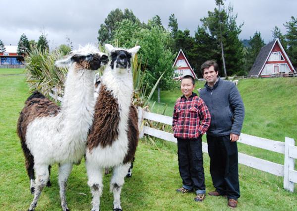 12-24-12_ Fundo Olguita_Tour Guide &  Llamas -20001.JPG