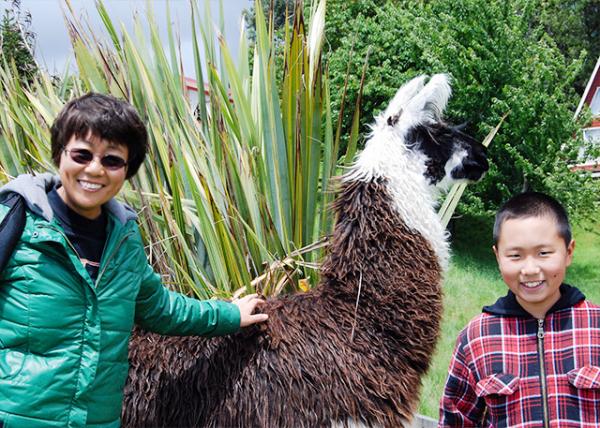 12-24-12_ Fundo Olguita_Llamas 0001.jpg