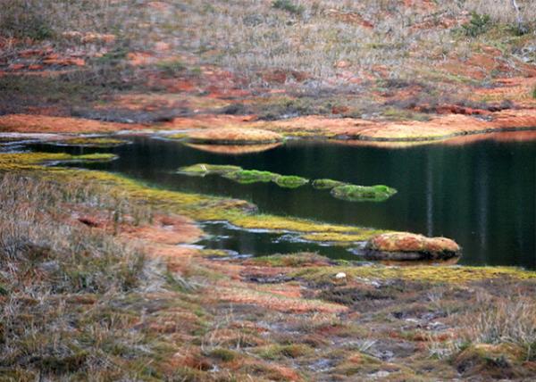 12-28-12_ Iron-Containing Colorful Creek ĶϪ-20001.JPG