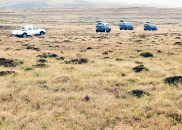 12-30-12_ Peat Bogs_Murrell Farm ׶ũ-10001.JPG