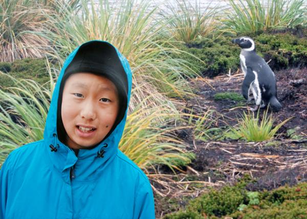 12-30-12_ Magellanic Penguins-20001.JPG