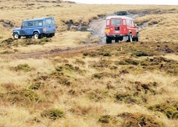 12-30-12_ Peat Bogs_Diddle-Dee Shrubs ׶ũҸݵ-20001.JPG