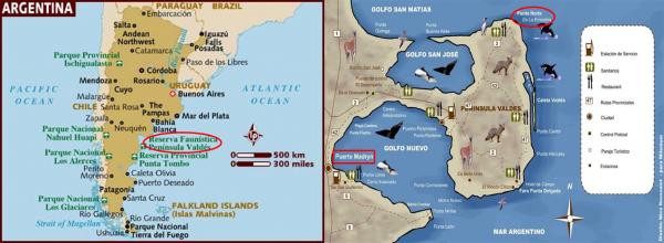 1753754181715596.jpg Puerto Madryn0001.JPG