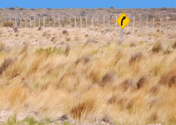 01-01-13_ Estancia La Adela -10001.JPG