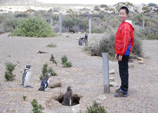 01-01-13_ Magellanic Penguin Rookery 췱ֳ-10001.JPG