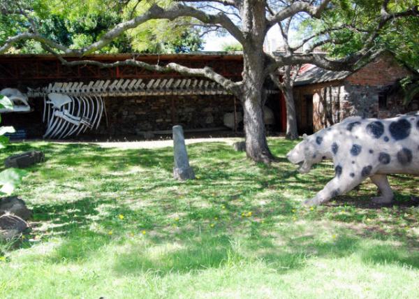 01-03-13_ Municipal Museum -30001.JPG