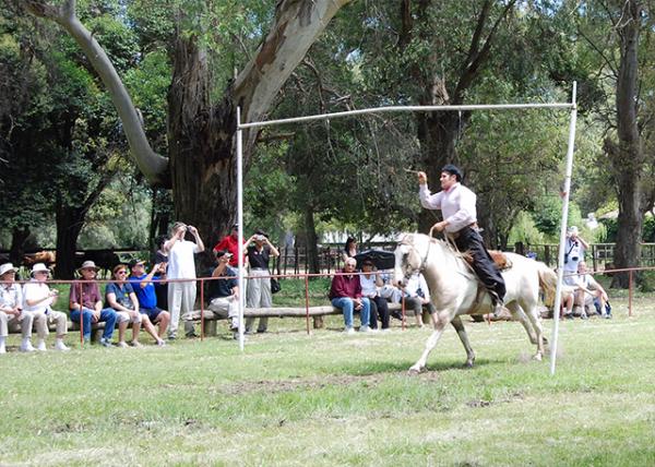 01-04-13_ Horsemanship-1.jpg