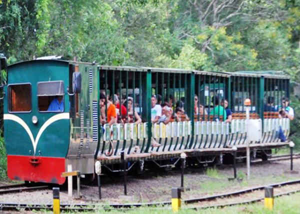 01-06-13_ Green Train of the Jungle ɫ0001.JPG