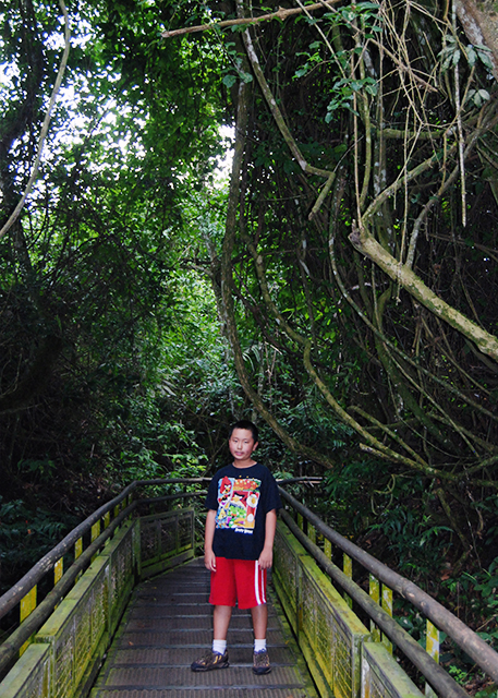 01-06-13_ Lower Circuit of Iguazu NP, Argentina͢չҹ԰»ͨ0001.JPG