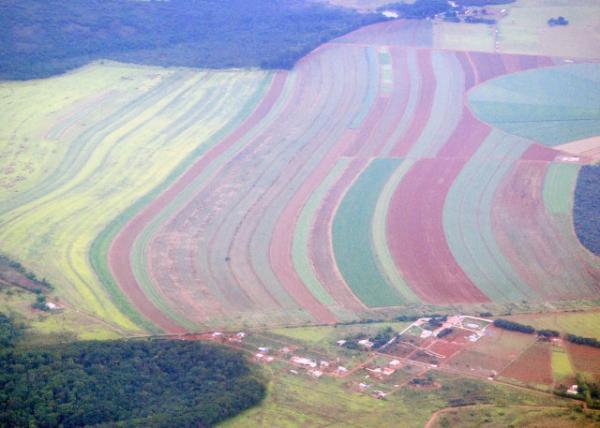 01-09-13_ Cropland Bordering Rainforest ȴָũ-30001.JPG