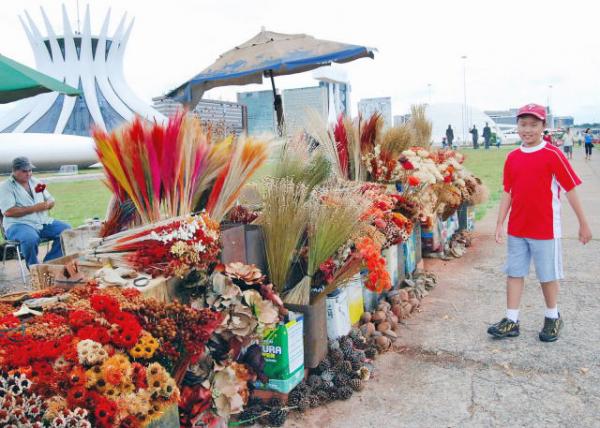 01-09-13_ Dried Flower Market ɻ0001.JPG