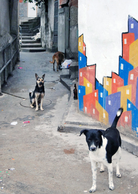 01-11-13_ Santa Marta Favela_Squatter Street ݽֵ-150001.JPG