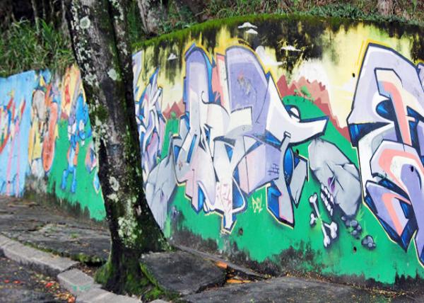 01-11-13_ Santa Teresa Street Art_Graffiti Ϳѻ-30001.JPG