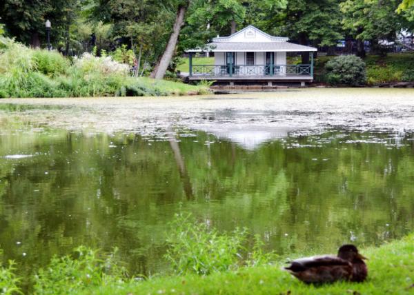 2023-08-16_Public Gardens_Pergola over Duck Pond0001.JPG