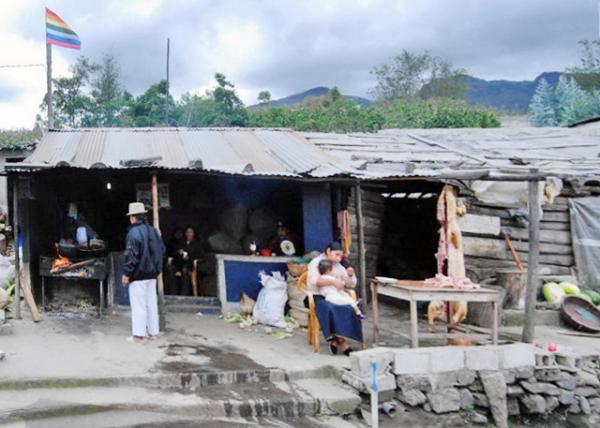 03-30-13_ Giant Pig-200010001.JPG