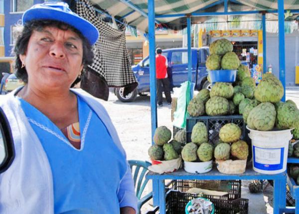 03-30-13_ Sourtop (Guanbana) ̷֦0001.JPG