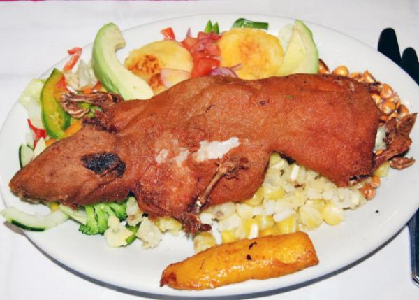 03-30-13_ Roast Guinea Pig for Lunch ͡0001.JPG