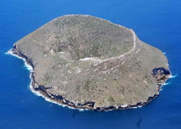 03-31-13_ Galapagos_Daphne Minor a Haven for a Diverse Array of Bird & Marine Life ܽС.JPG