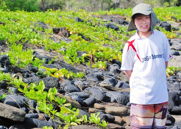 04-01-13_ Saltwater Paludarium0001.JPG