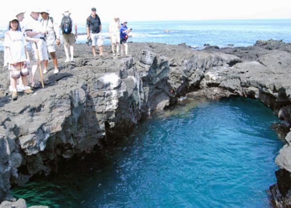 04-01-13_ Fur Seal Grotto Ҷ-20001.JPG