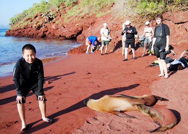 04-01-13_ Rabida Island_Fur Seals agasint Basaltic Lava ʯǰ0001.JPG