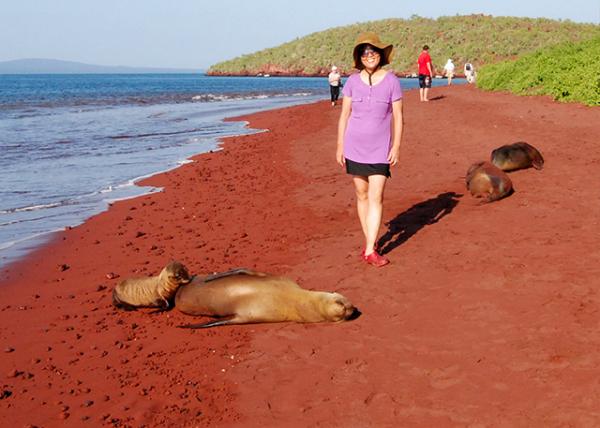 04-01-13_ Rabida Island_Maroon-colored Beach w Fur Seals ɫ̲뺣-30001.JPG