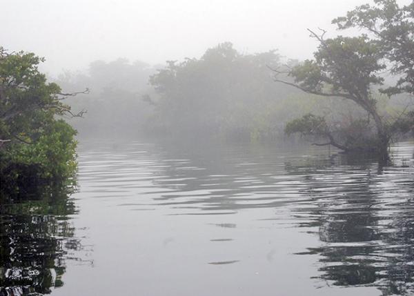 04-02-13_ Elizabeth Bay ɯ׺-0001.JPG