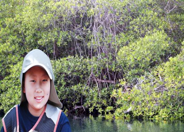 04-02-13_ Mangroves_Propagules Growing before Dropping from the Parent Plant ֳױֲ֮ǰ-10001.jpg