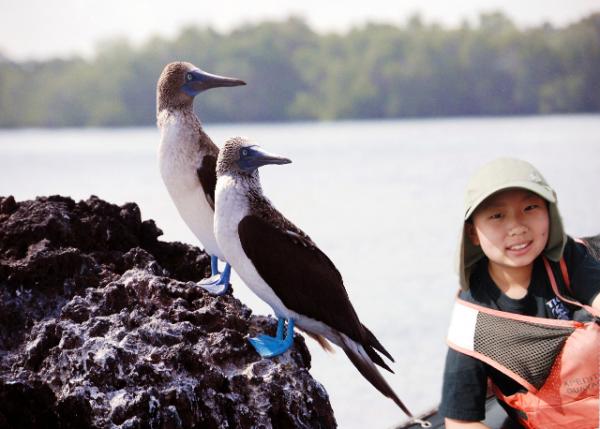 04-02-13_ Bird_Blue-footed Boobies-50001.jpg